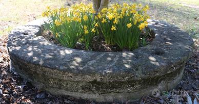 Antica vera da pozzo in trachite da villa veneta