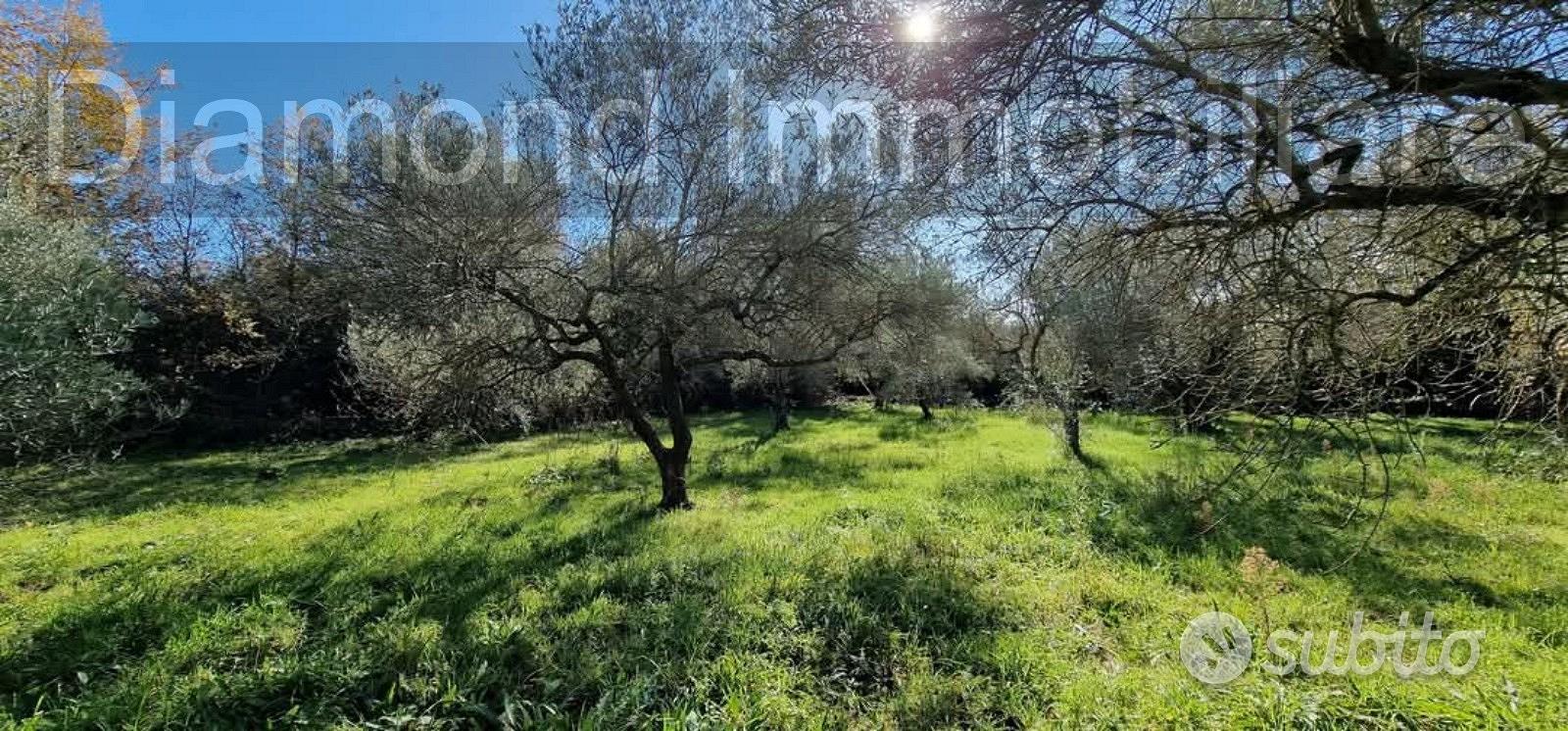 Terreno con rustico a Castiglione di Sicilia - Vista 2