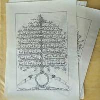 Albero genealogico XX secolo 70x50 cm Genealogie