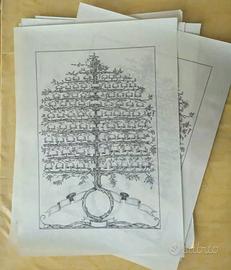 Albero genealogico XX secolo 70x50 cm Genealogie