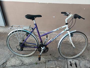 bicicletta femminile professionale perfetta m.26