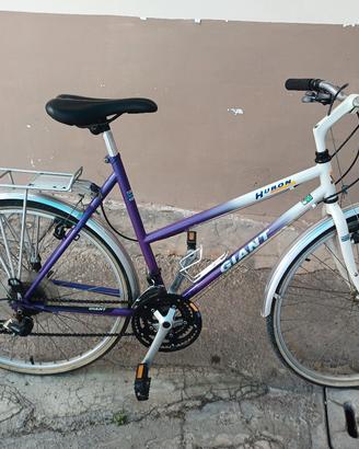 bicicletta femminile professionale perfetta m.26