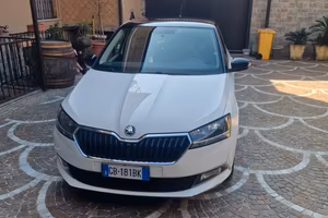 skoda fabia 2020 gpl