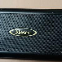 Amplificatore auto RIESEN