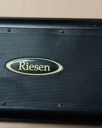 Amplificatore auto RIESEN AMP-160