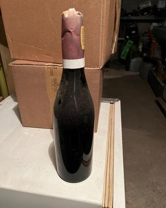 Bottiglie imbottigliamento vino