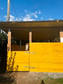 Box cavalli tavole gialle da cantiere