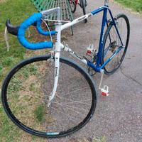 Bici da corsa