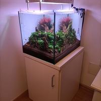 Acquario acqua dolce completo