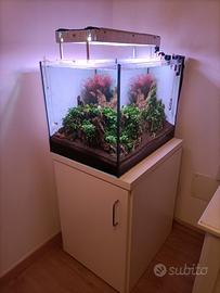 Acquario acqua dolce completo