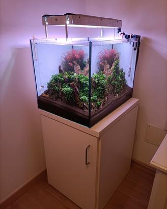 Acquario acqua dolce completo