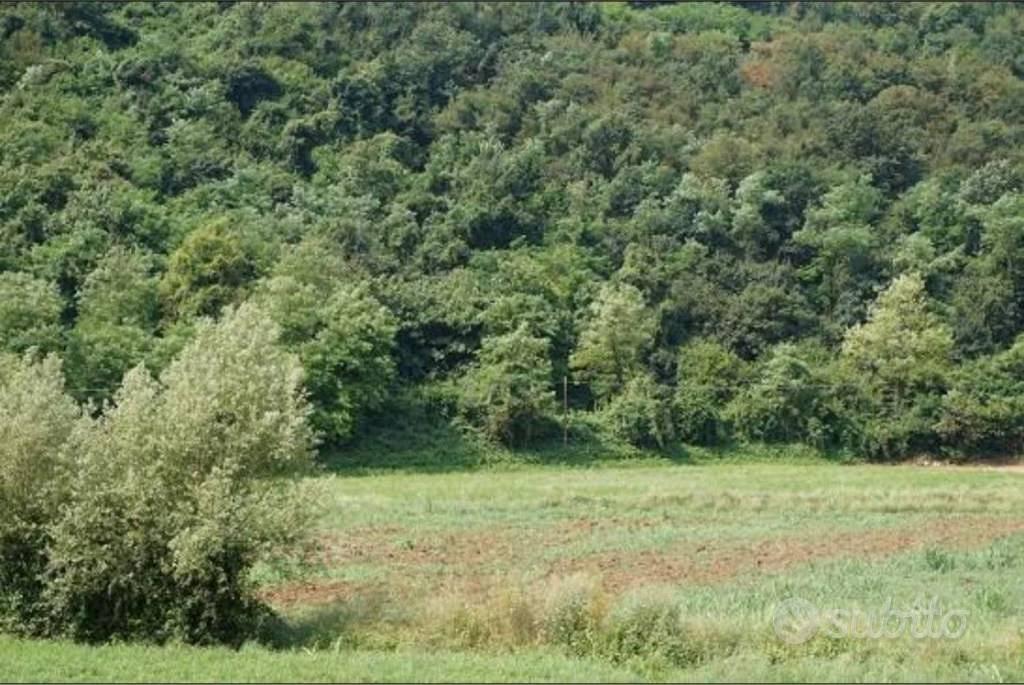Immobile in asta di 40247 m² a Sovizzo - Vista 5