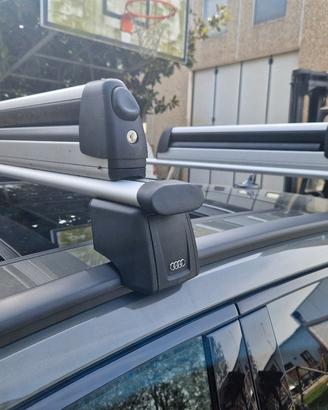 Barre portatutto con portasci