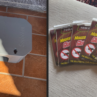 n° 14 trappole per topi