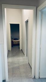 2 camere viale Mario rapisardi x student. 250