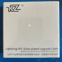 Cavo Auricolari Silver-Plated Bpin/Lightning