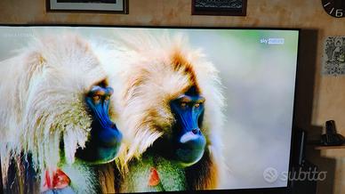 TV lg 86 pollici