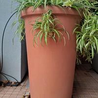 Vasi da giardino