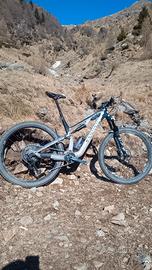 Canyon neuroni