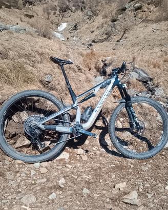 Canyon neuroni