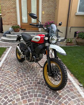 Ducati scrambler desert sled
