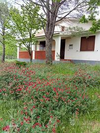 Villetta indipendente