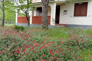 Villetta indipendente