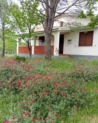 Villetta indipendente