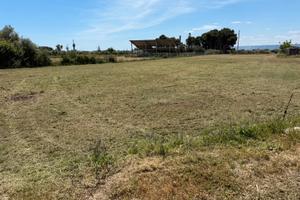 Terreno Augusta