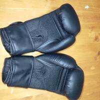Guantoni da box, king box