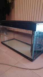 Acquario 