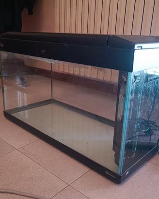 Acquario 