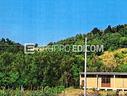 terreno-borgoratto-mormorolo-
