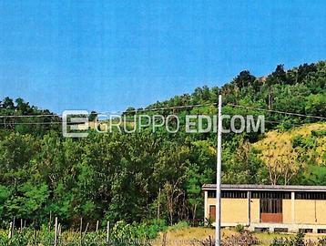 Terreno, Borgoratto Mormorolo.