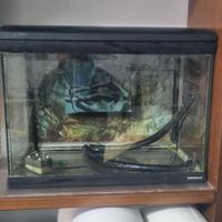 ACQUARIO MIRABELLO 70