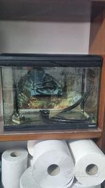 ACQUARIO MIRABELLO 70