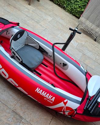 kayak 
