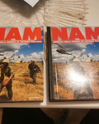 Enciclopedia Storia Vietnam 