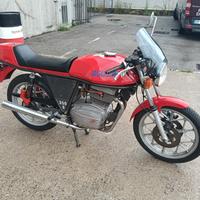 Mv Agusta 350 SS S Ipotesi
