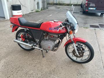 Mv Agusta 350 SS S Ipotesi