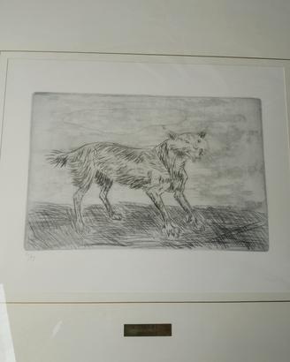 quadro lince antonio ligabue