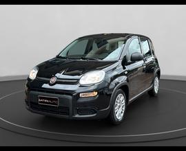 FIAT Panda III 2021 - Panda 1.0 firefly hybrid s&s