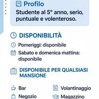 candidato lavoro  a porto sant elpidio 