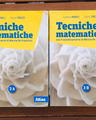 Libro "Tecniche matematiche" vol. 3A+3B