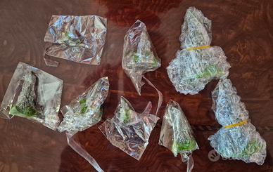 Montagne sceniche warhammer