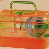 Gabbietta x Criceti Russi -Arquivet Hierro