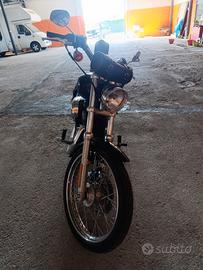 Harley Davidson 883 low
