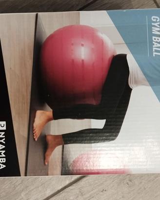 Palla pilates e pompa per gonfiare
