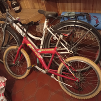 Bicicletta 20 pollici