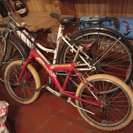 Bicicletta 20 pollici